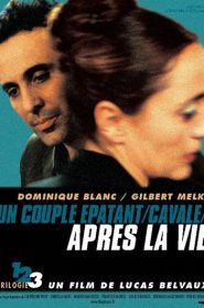 Après la vie