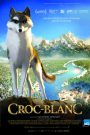 Croc-Blanc