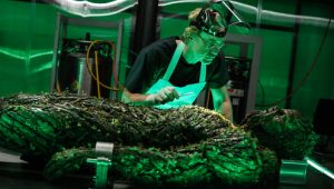 Swamp Thing: Saison 1 Episode 9